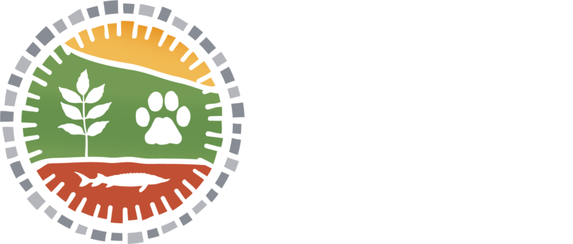 Bureau-du-Ndakina-logo-whitefont